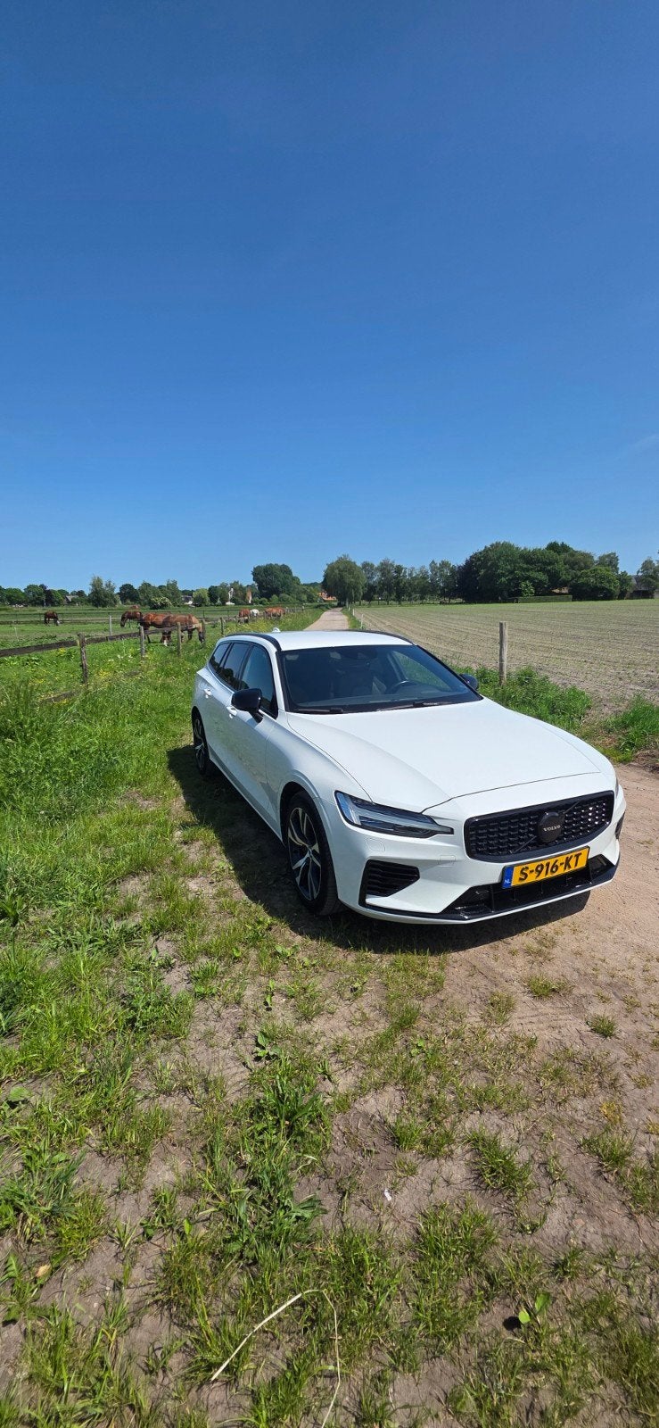 Volvo V60 T8 Twin Engine 390pk AWD Geartronic 2019 Wit, Automaat, 4 cilinders, Wit, Vierwielaandrijving