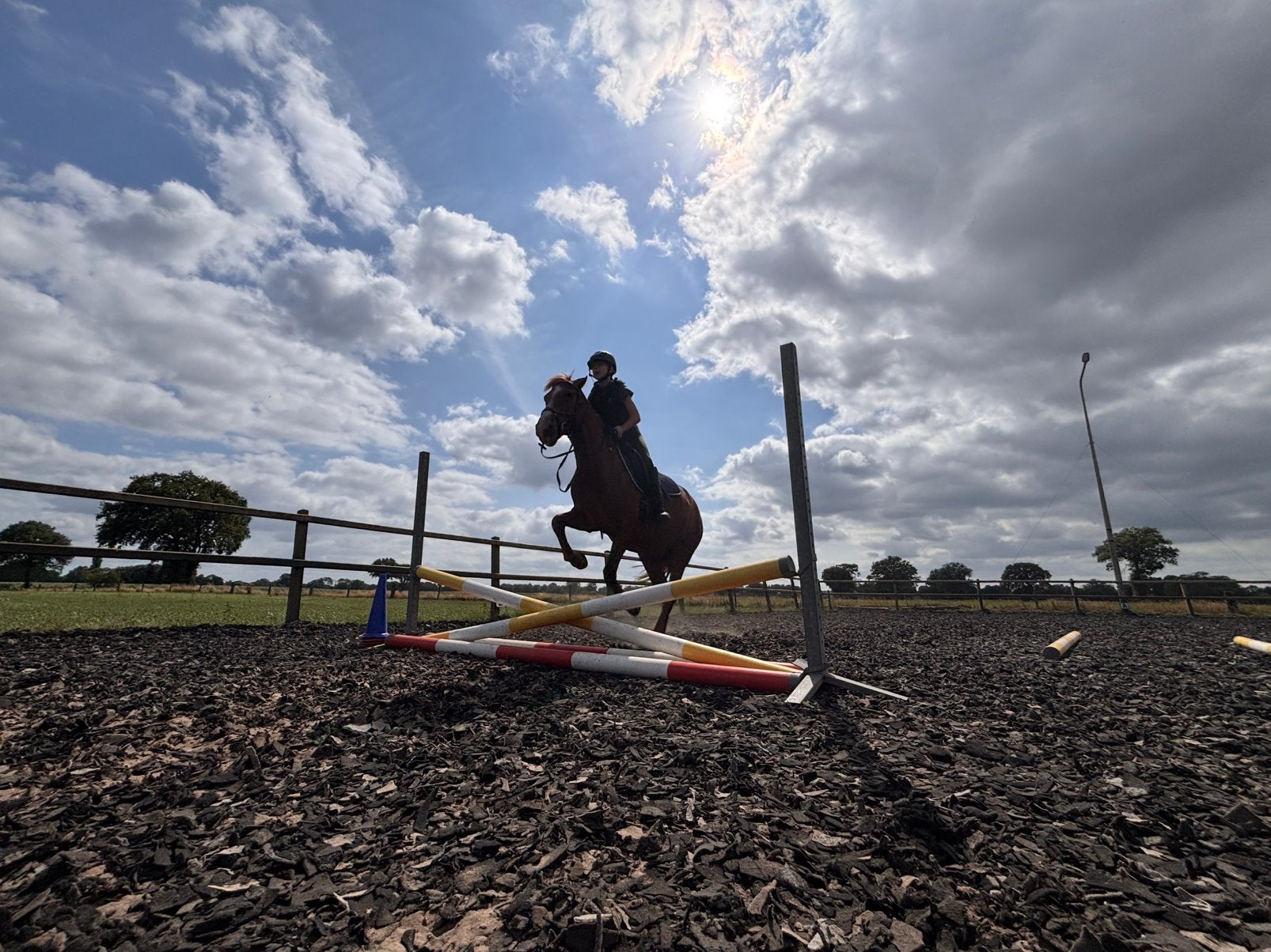 Verzorg pony/paard GEZOCHT, Eén persoon, April