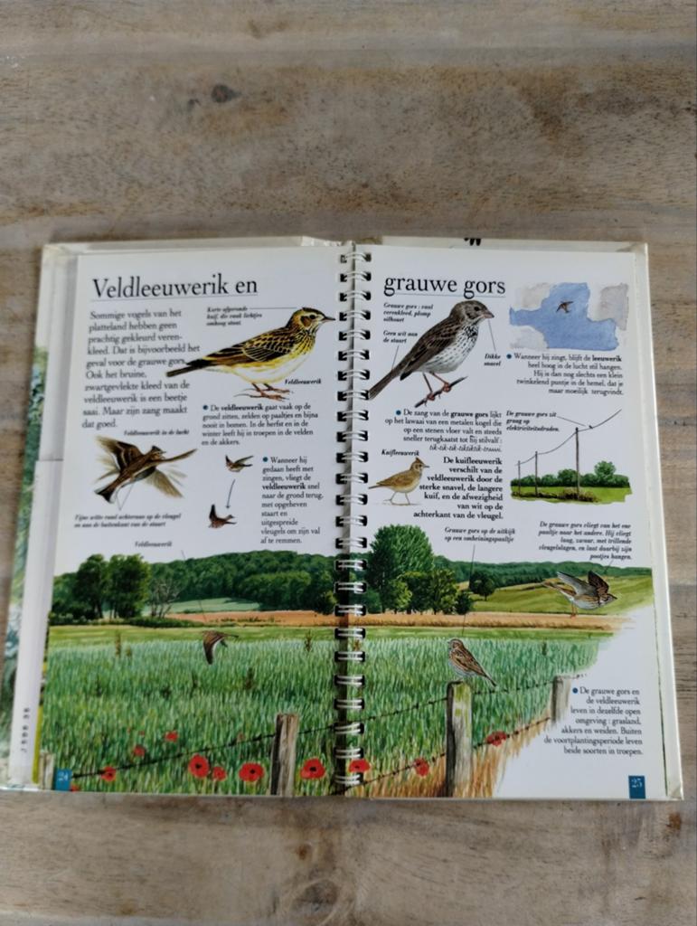 Vogels op het platteland - Natuurgids Marc Duquet, Ophalen of Verzenden, Gelezen, Vogels, Marc Duquet