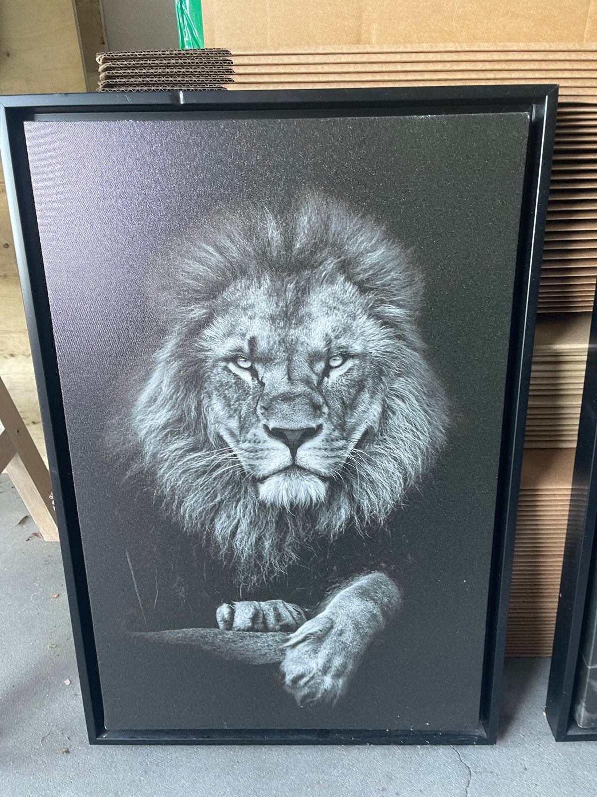 2 mooie posters met lijst - Leeuw en Luipaard, Ophalen, Zo goed als nieuw, Foto of Poster, 75 – 100
