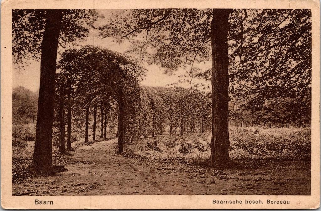 Baarn - Baarnsche bosch Berceau, Verzenden, 1920 tot 1940, Ongelopen, Utrecht