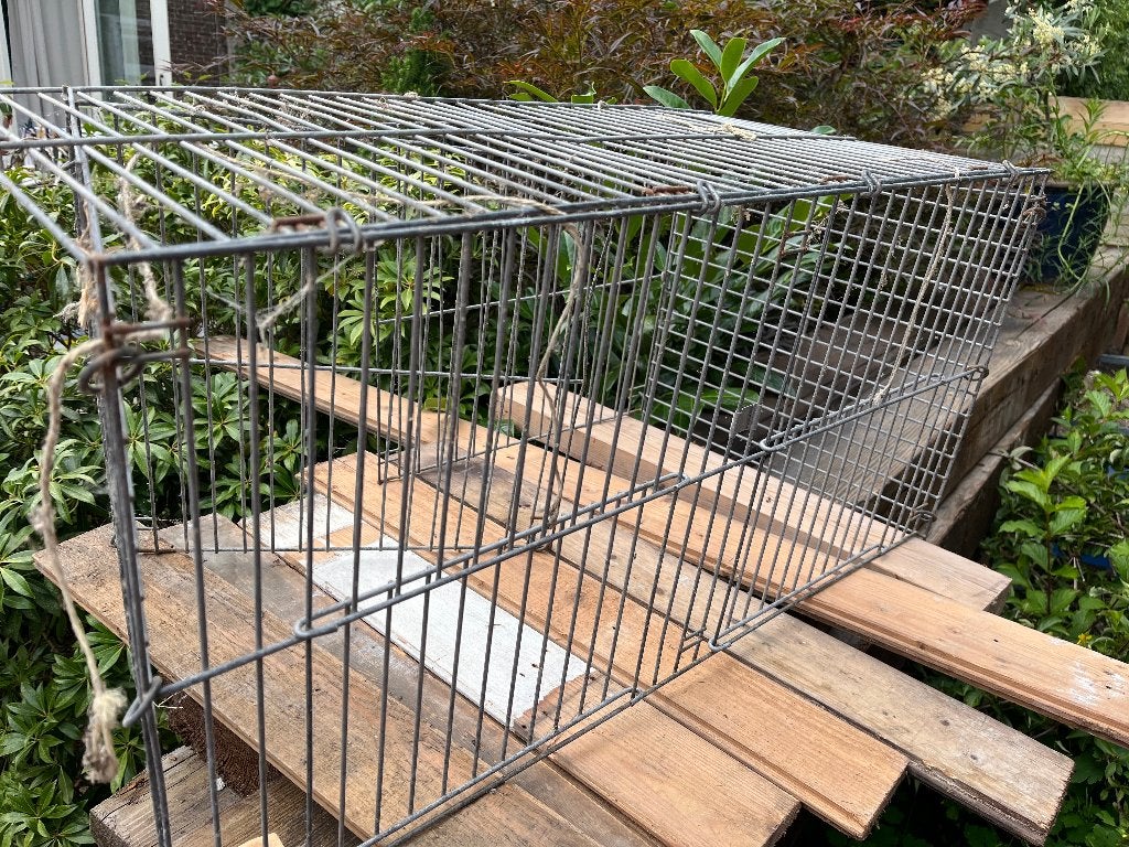 Kooi, Dieren en Toebehoren, Vogels | Hokken en Kooien, Ophalen, Gebruikt, Metaal, Vogelkooi