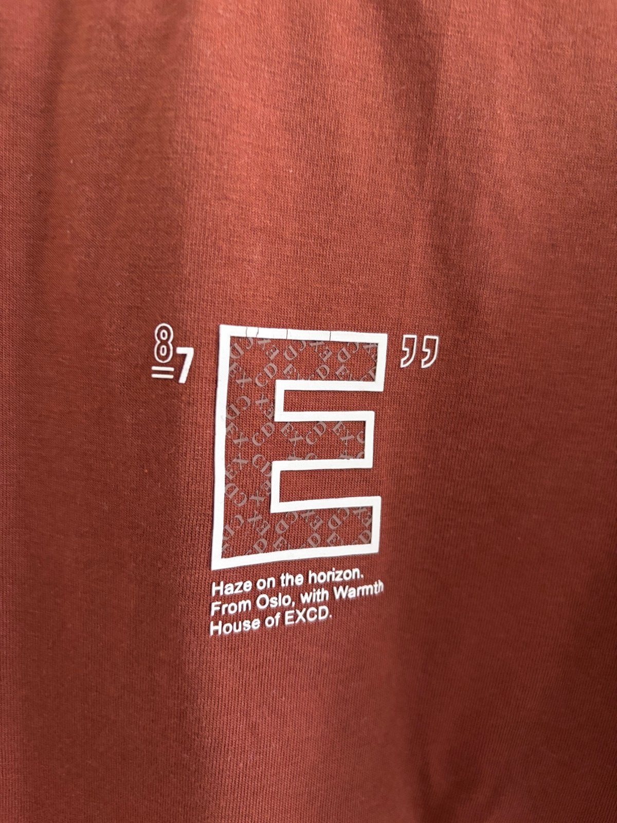 Diverse T-shirts: EXCD, Hallinger, Lost Minds, Jack & Jones,, Kleding | Heren, Ophalen of Verzenden, Gedragen, Maat 52/54 (L)