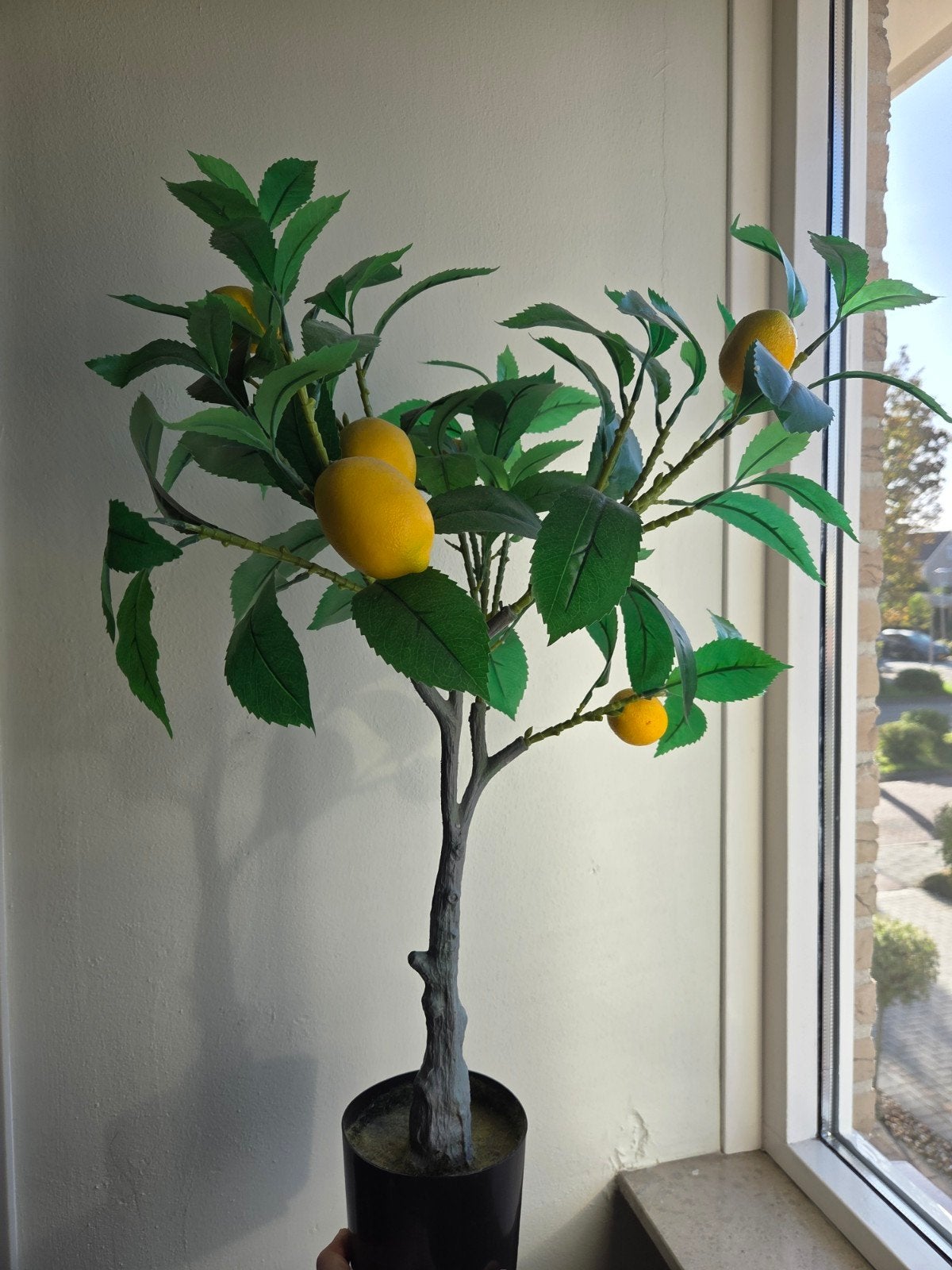 Kunst citroenboom - Decoratieve kunstplant, Ophalen, Binnen, Kunstplant, Kunststof