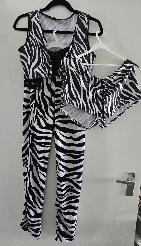 3 dlg Zebra Disco, Flower Power outfit mt 38, Ophalen of Verzenden, Zo goed als nieuw, Maat 38/40 (M), Carnaval