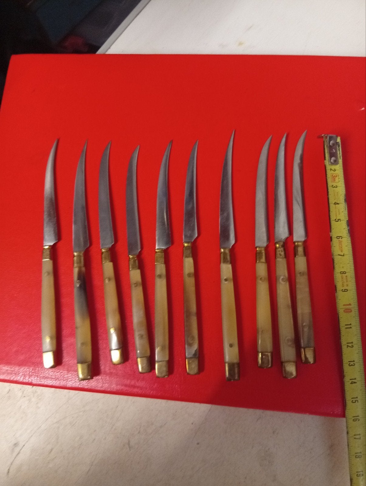 Set van 10 vintage fruitmesjes hoorn handvat, Ophalen of Verzenden