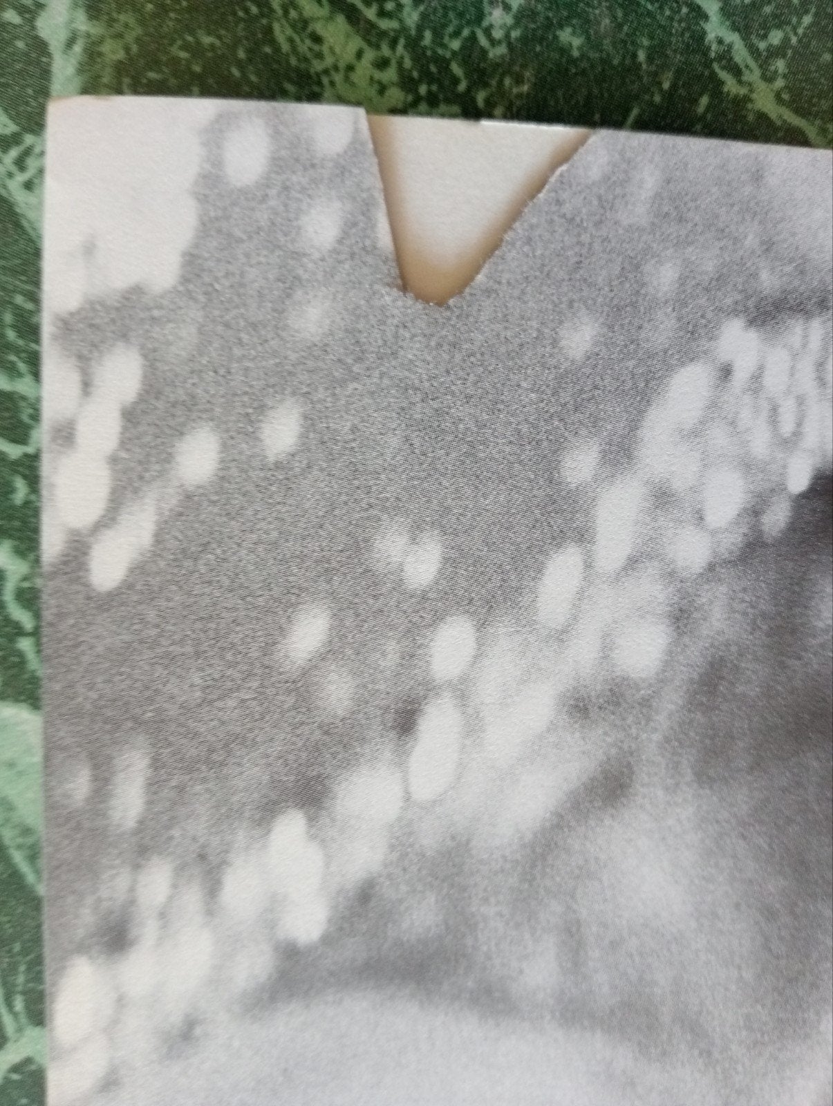Marilyn Monroe: Haar laatste fotosessie door Bert Stern, Boeken, Kunst en Cultuur | Fotografie en Design, Ophalen of Verzenden