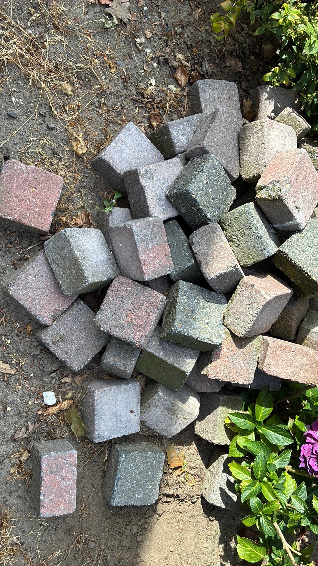 Gratis betonklinkers, Tuin en Terras, Tegels en Klinkers, Ophalen, Gebruikt, Beton, Klinkers