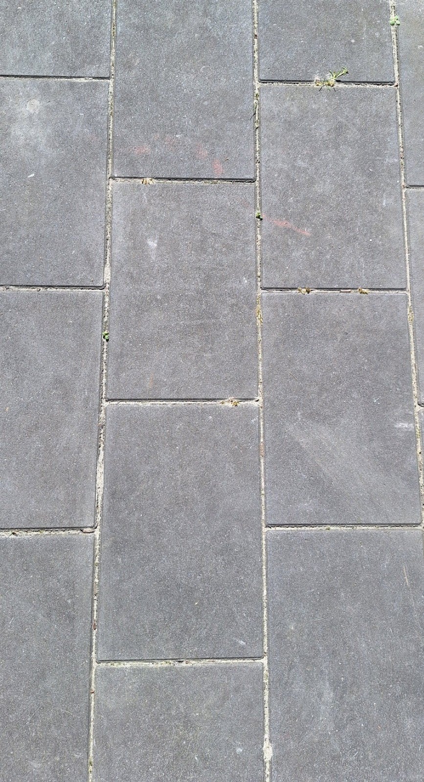 Gebruikte betontegels 30x20 cm voor terras of pad, Ophalen, Gebruikt, 10 m² of meer, Beton