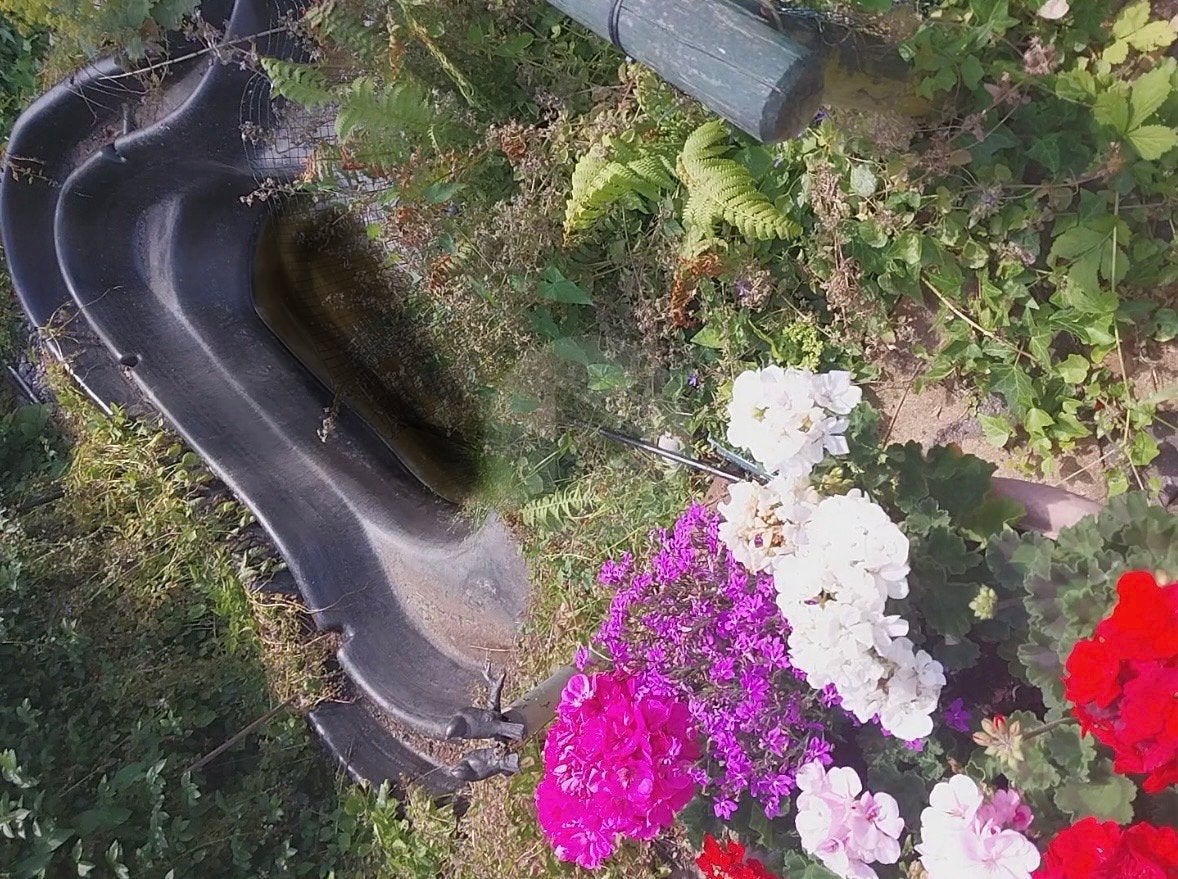 Gratis ophalen tuinvijver, Tuin en Terras, Vijvers, Ophalen, Gebruikt