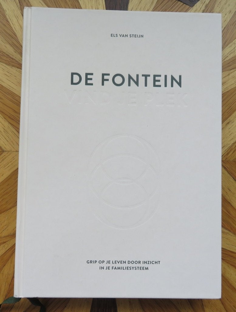 DE FONTEIN - grip op je leven/ inzicht in je familiesysteem, Ophalen of Verzenden, Zo goed als nieuw