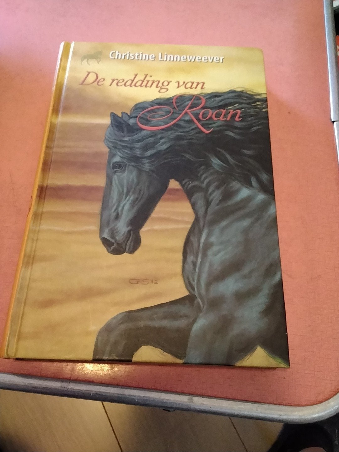 Christine linneweever de redding van roan € 5, Ophalen of Verzenden, Zo goed als nieuw, Fictie algemeen