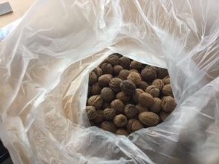 WALNOTEN te koop, Diversen, Levensmiddelen, Ophalen