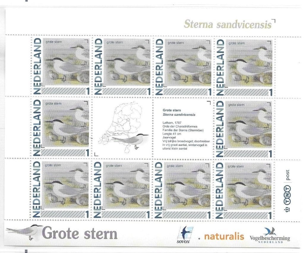 Vel persoonlijke zegels, Vogels Grote Stern postfris, Ophalen of Verzenden, Postfris