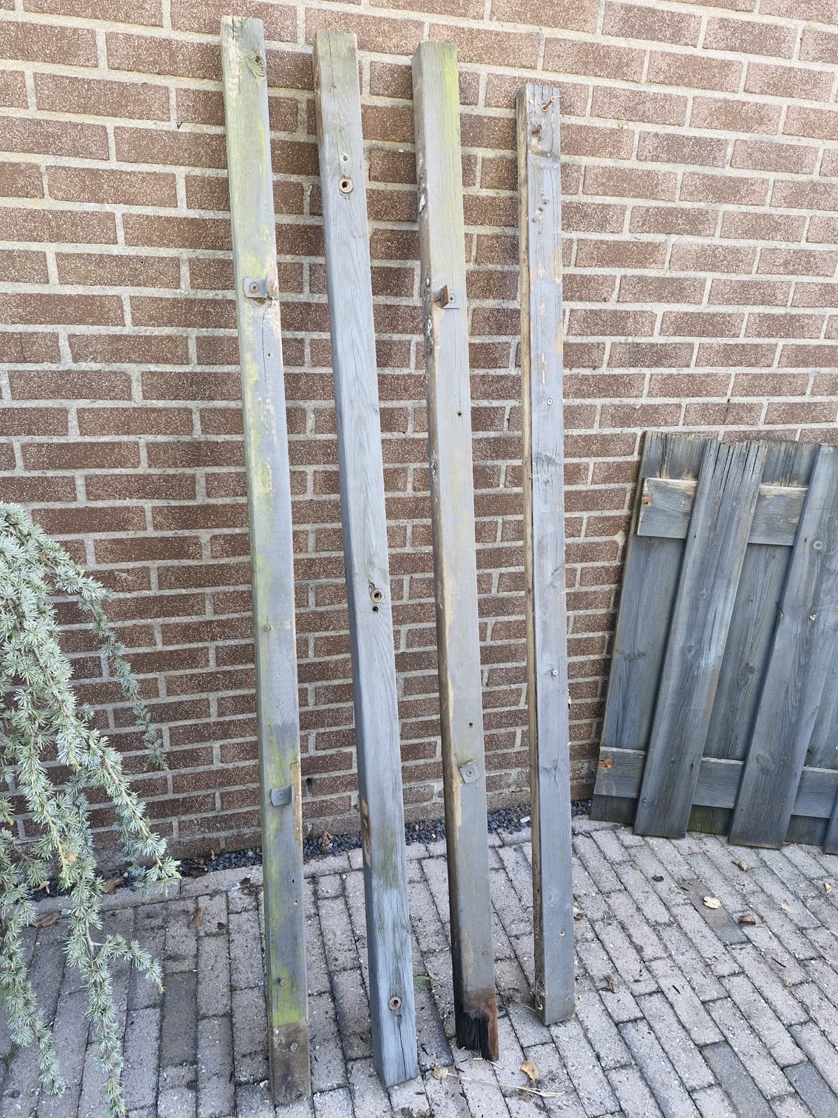 Tuinhout: Palen en Schuttingdelen, Gebruikt, Minder dan 3 meter, Ophalen of Verzenden, 2 meter of meer