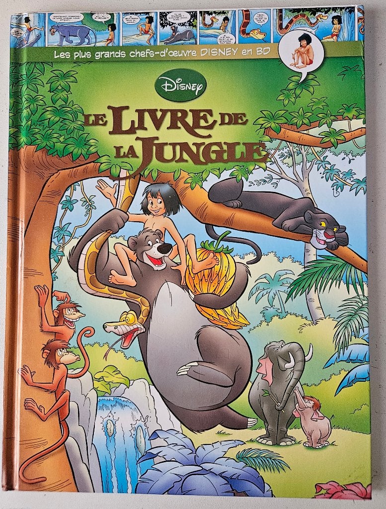 2x Disney Franstalig, Verzamelen, Ophalen of Verzenden, Overige figuren, Zo goed als nieuw, Beeldje of Figuurtje