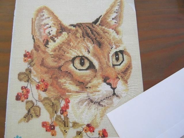 Borduurpatroon  Poes  Abessijn kat  nr 5801, Verzenden, Nieuw, Handborduren, Patroon
