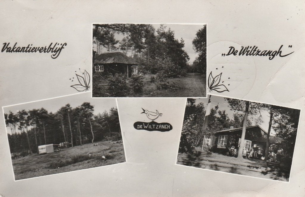 Ruinen  de Wiltzangh, Ophalen of Verzenden, 1940 tot 1960, Gelopen, Drenthe