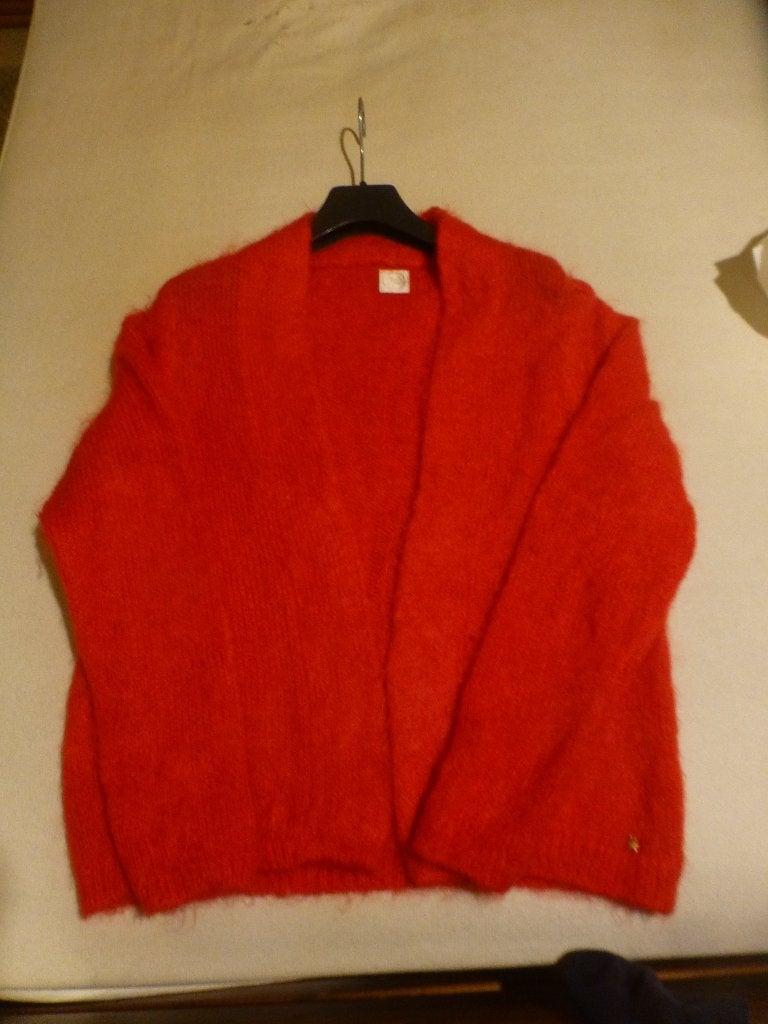 Des Petits Hauts rood kid mohair vestje mt 38 ZGAN, Kleding | Dames, Maat 38/40 (M), Des Petits Hauts, Ophalen of Verzenden, Zo goed als nieuw