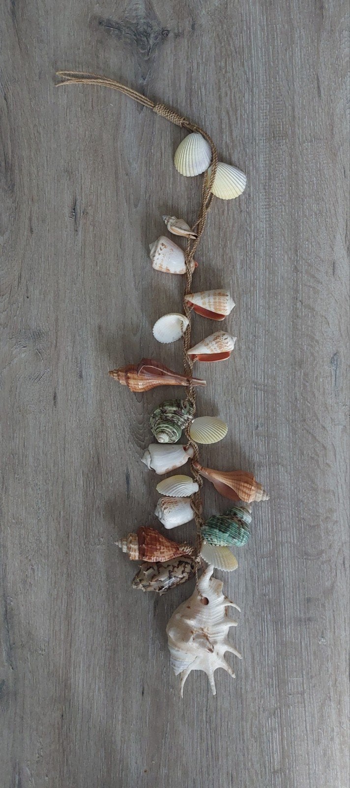 Decoratieve schelpenhanger voor een maritieme sfeer, Huis en Inrichting, Ophalen, Gebruikt, Wandhanger, Meerkleurig