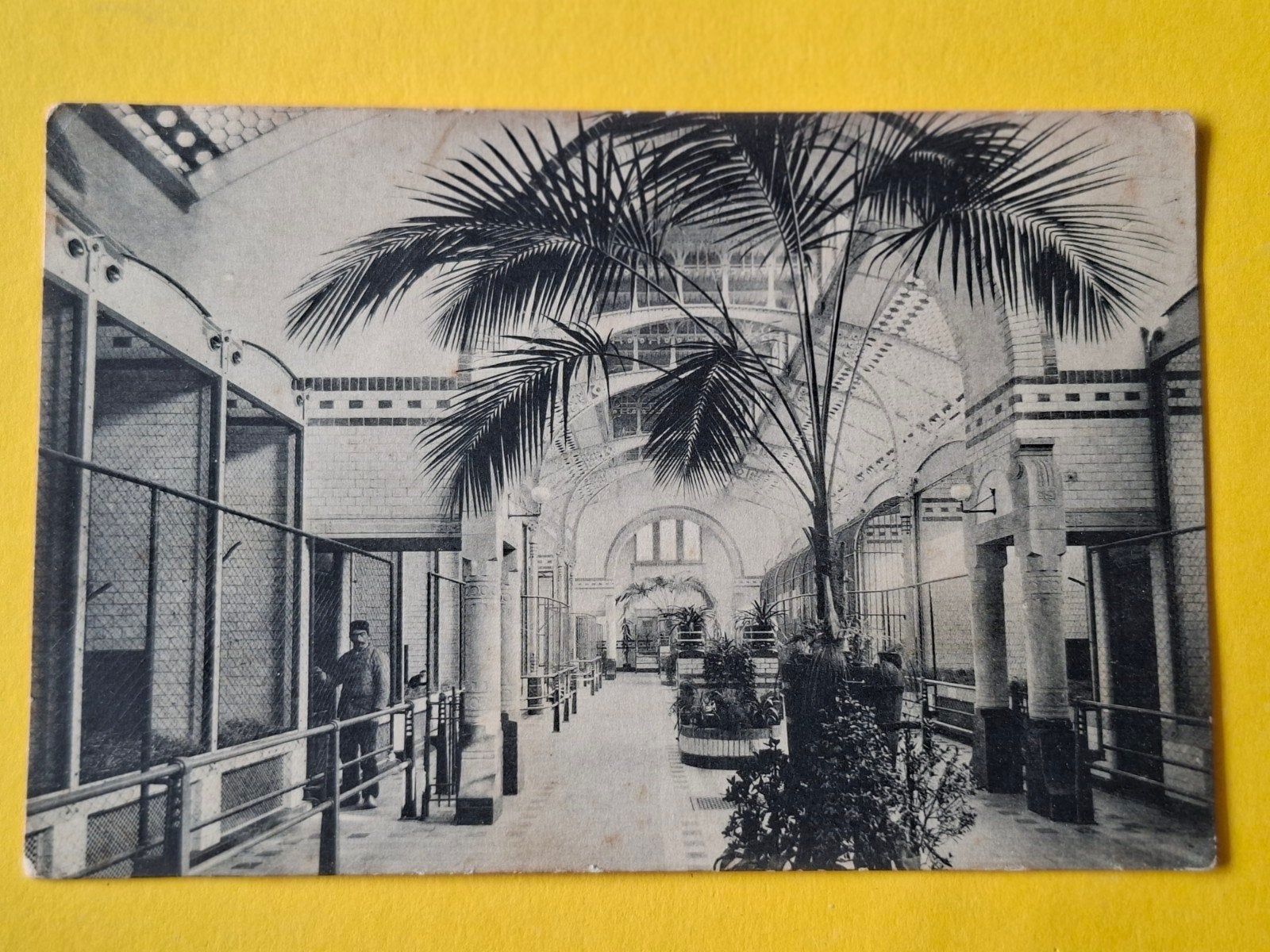 Diergaarde Blijdorp, Ophalen of Verzenden, Voor 1920, Zuid-Holland