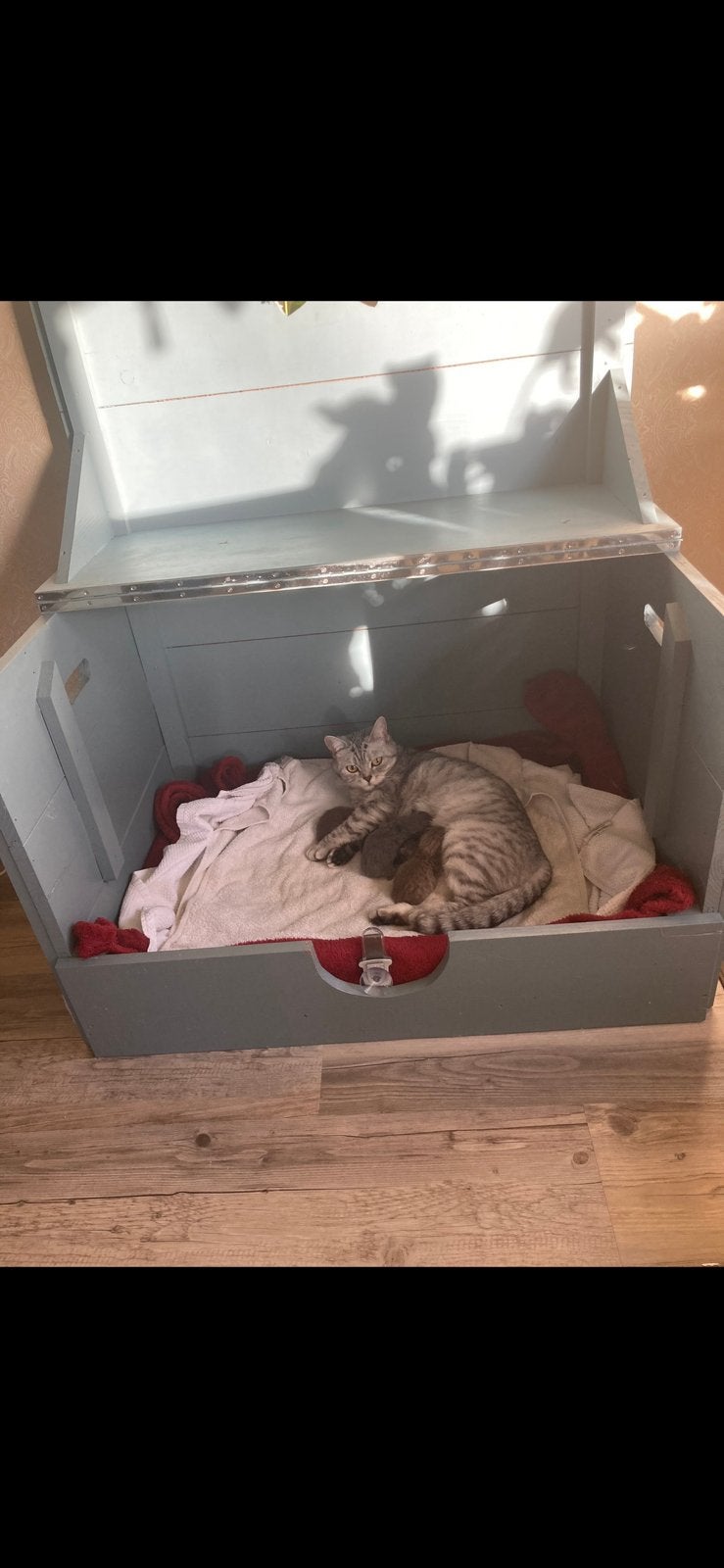 Werpkist met toebehoren, Dieren en Toebehoren, Ophalen, Gebruikt