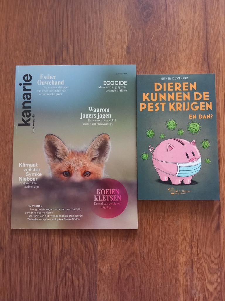 Kanarie in de kolenmijn 1 uit 2021 (Nijmegen oost), Ophalen of Verzenden, Nieuw, Glossy