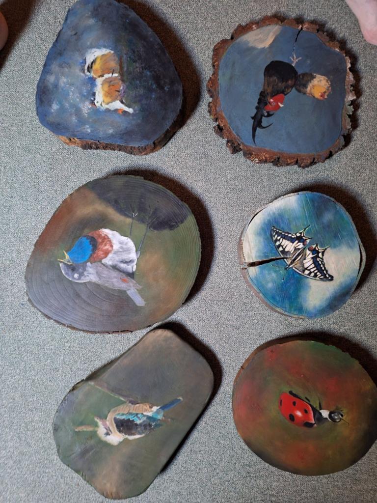 Ronde boomstanschijven 6 stuks, Ophalen, Losse flippo's