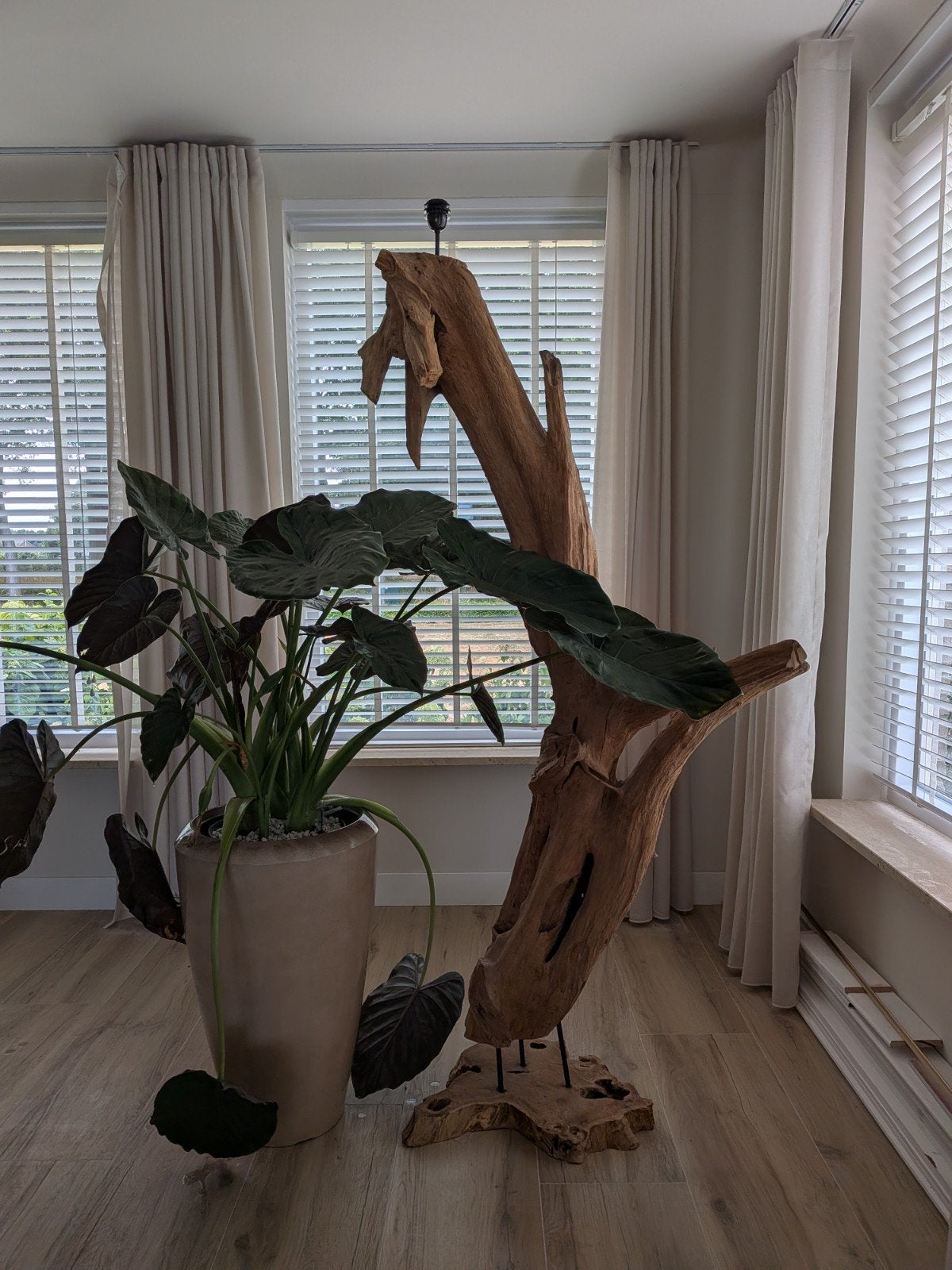 boomstam lamp van drijfhout, Ophalen of Verzenden, Krabton