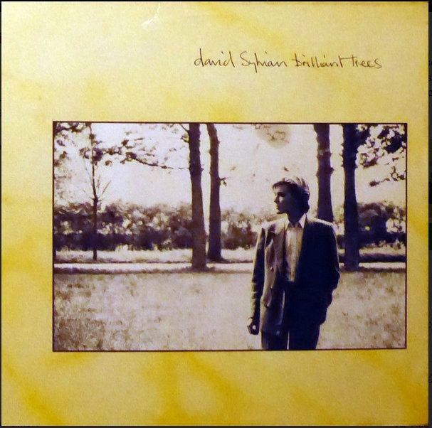 LP - David Sylvian ‎– Brilliant Trees, Ophalen of Verzenden, Gebruikt, 12 inch