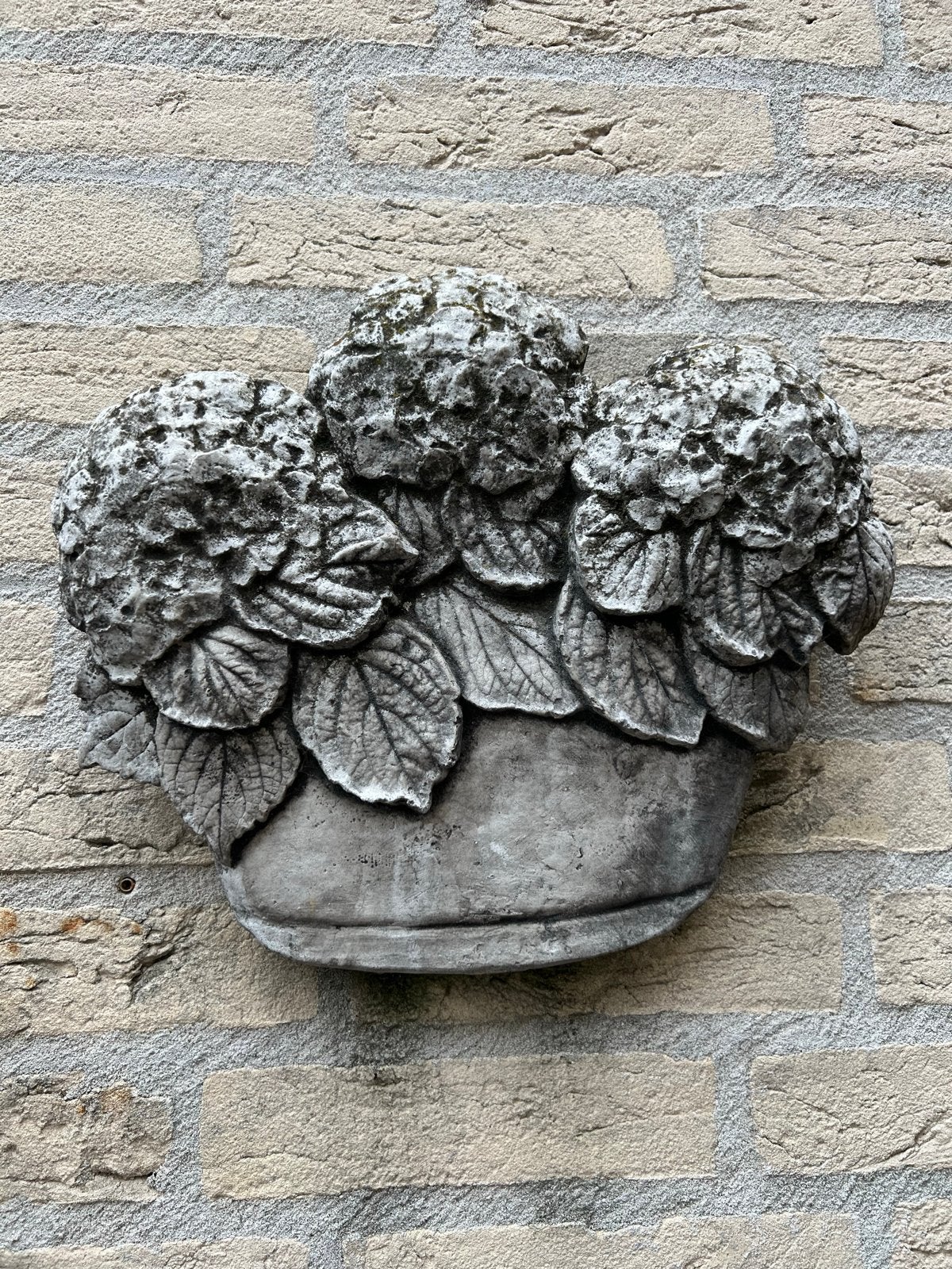 Betonnen Muurhanger Hortensia's, Ophalen, Nieuw, Beton, Abstract beeld
