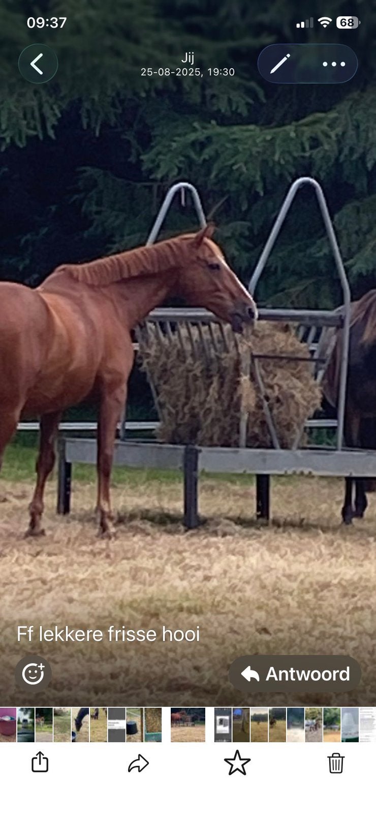 Grote hooiruif, Dieren en Toebehoren