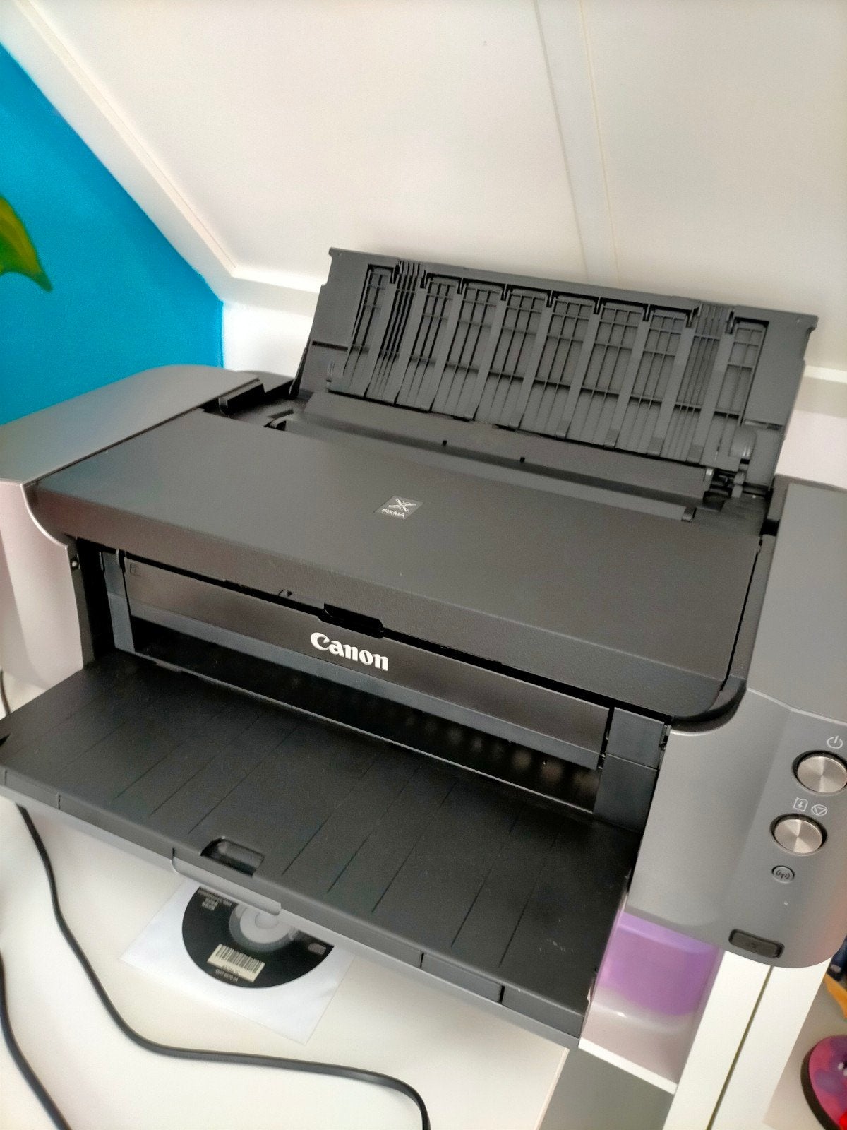 Canon Pixma Pro 100S Fotoprinter - Professionele Kwaliteit, Computers en Software, Printers, Ophalen, Fotoprinter, Kleur printen