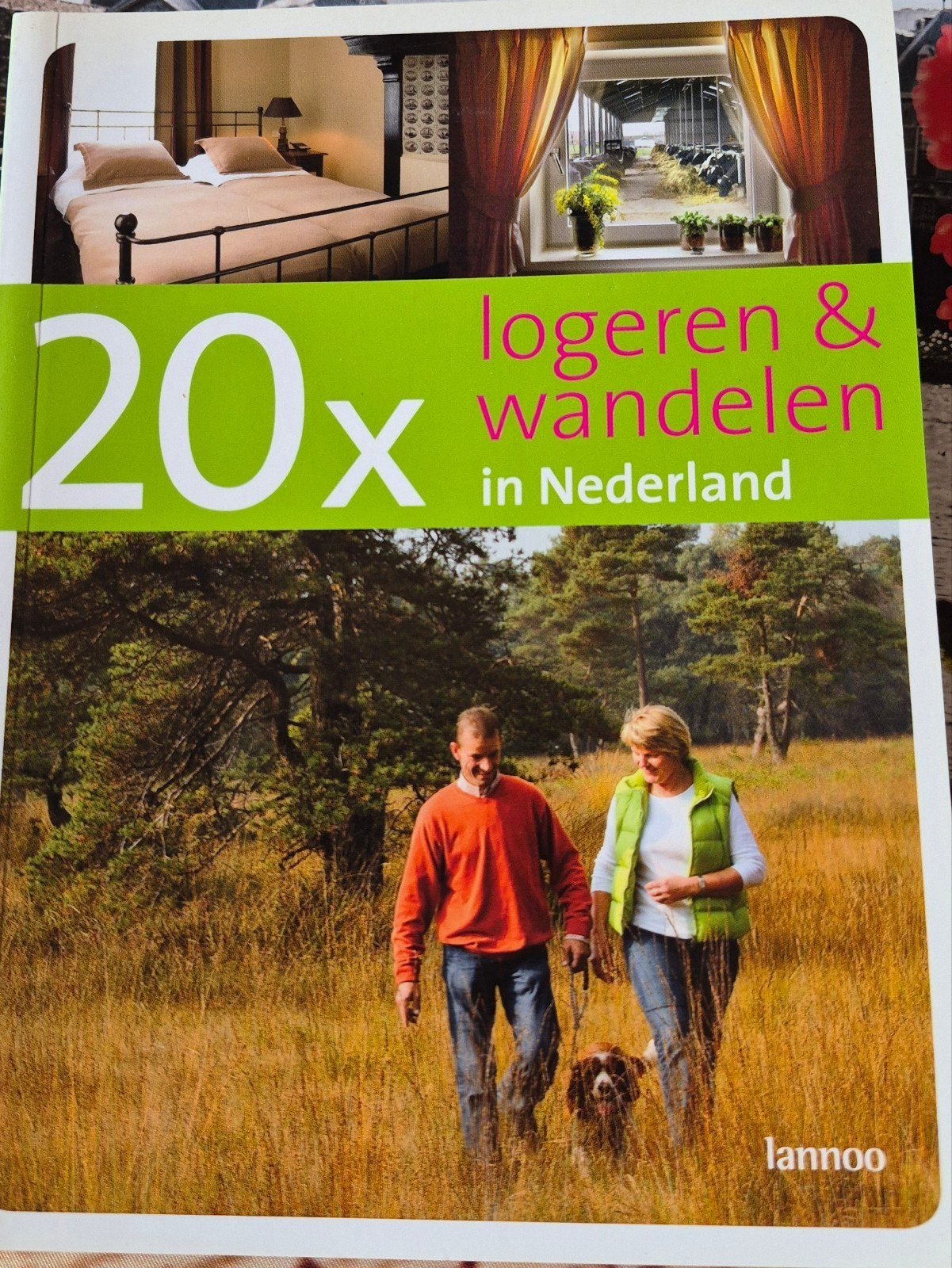 20x Logeren & Wandelen in Nederland - Lannoo, Pim Verver, Marja Kerst, Maria Remmerswaal, Nieuw, Reisgids of -boek, Benelux