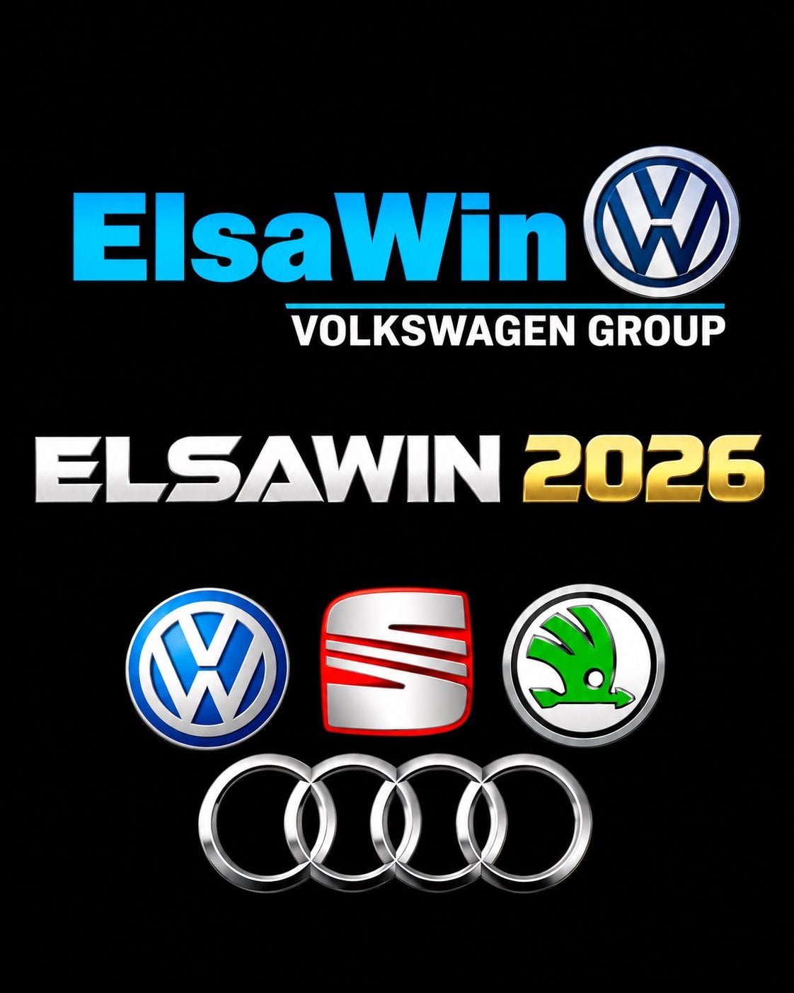 Elsawin 2026 Volkswagen groep VAG, Ophalen of Verzenden, Zo goed als nieuw