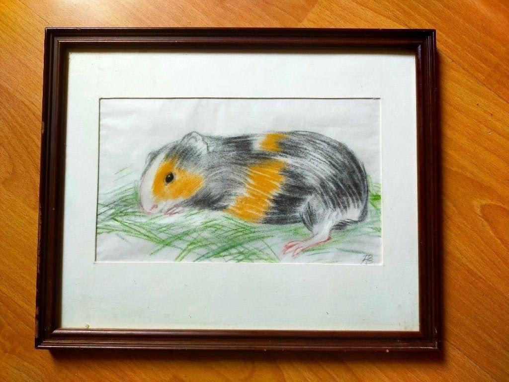 Annie Borst Pauwels - "Bolleke", tekening cavia kleurpotlood, Ophalen of Verzenden, Tekening, Potloodtekening