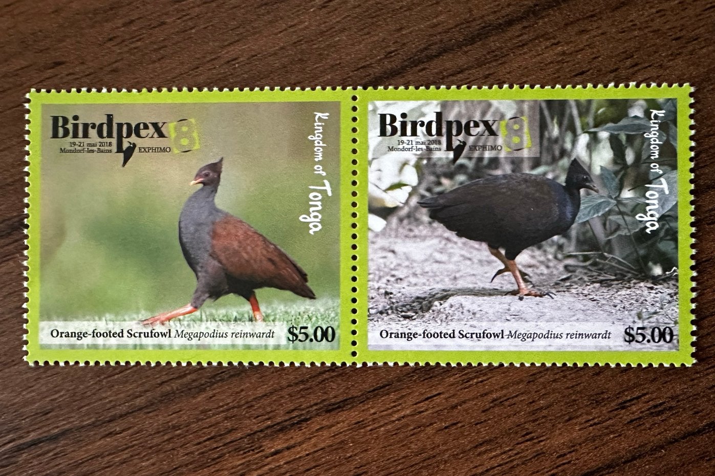 Tonga 2018 Vogels - Birdpex postfris, Ophalen of Verzenden, Postfris