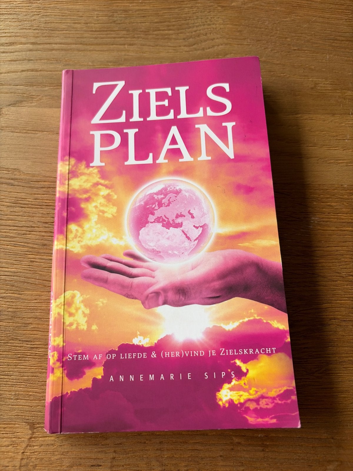 Annemarie Sips - Zielsplan, Spiritualiteit algemeen, Ophalen of Verzenden, Zo goed als nieuw, Instructieboek