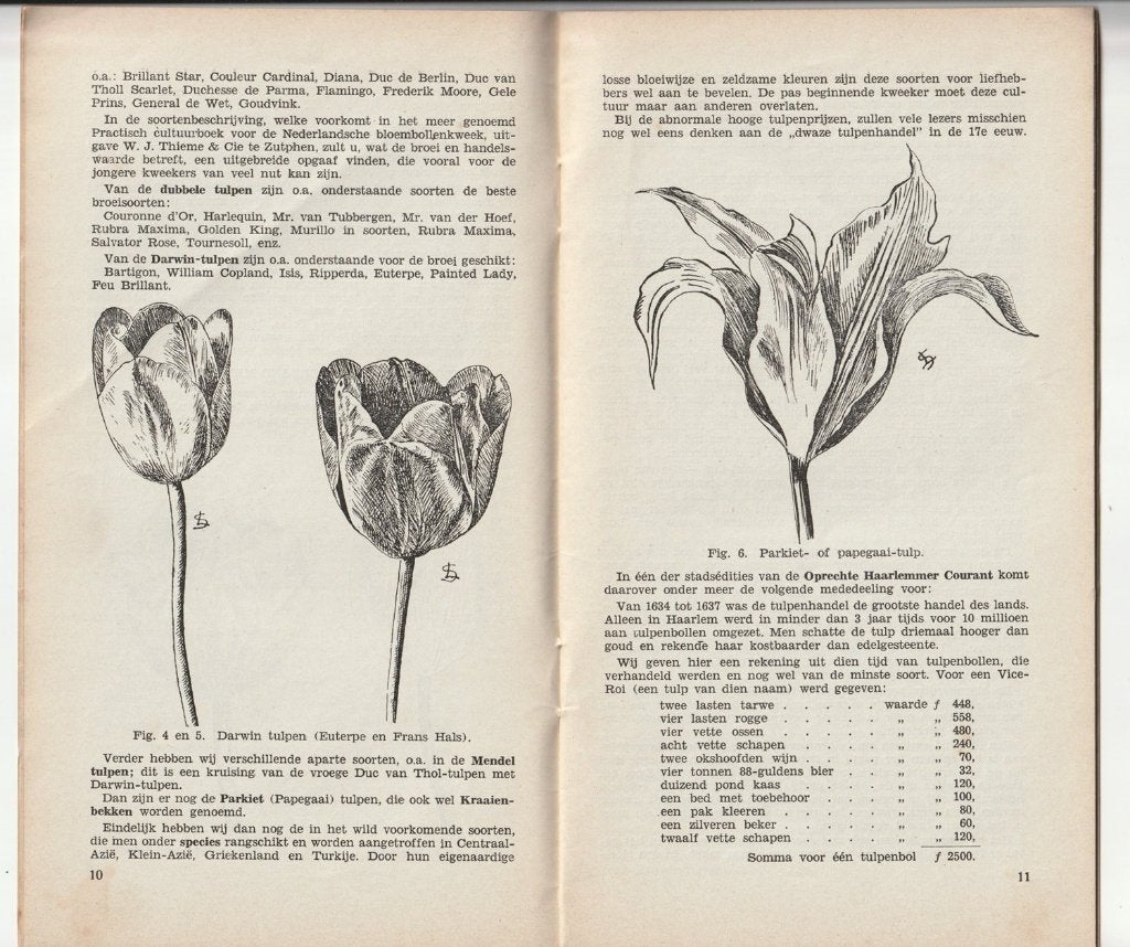 Tulpenteelt voor pasbeginnenden G. Klûft De Veldbode, Verzenden, Gelezen, Tuinieren en Tuinplanten