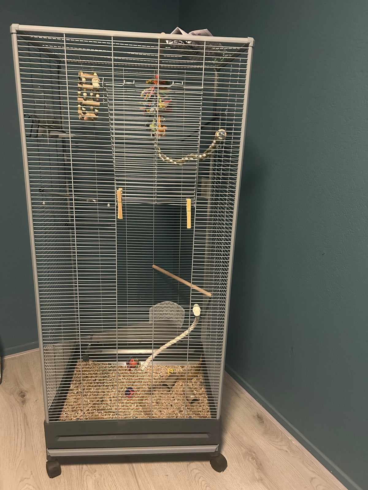 Kamer voliere, Dieren en Toebehoren, Vogels | Hokken en Kooien, Ophalen, Zo goed als nieuw, Aluminium, Volière