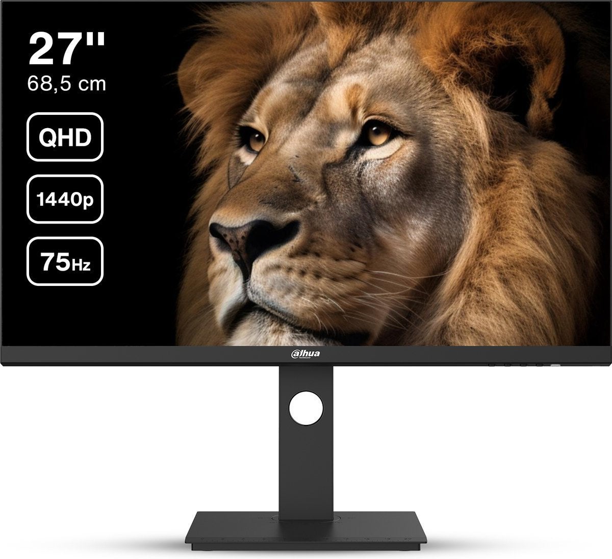 2x Dahua LM27-P301A - QHD IPS Monitor  75 Hz  USB-C 27 inch, Ophalen, Zo goed als nieuw, USB-C, 61 t/m 100 Hz