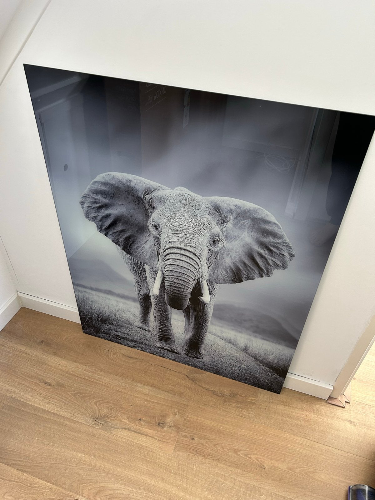Groot schilderij van olifant op glas, Ophalen, Zo goed als nieuw, Schilderij, 75 – 100
