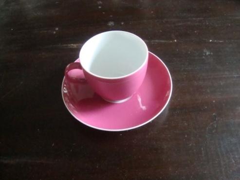 Kop en schotels Thomas Sunny Raspberry servies, Overige materialen, Rosenthal@ttpconcepts.nl, Ophalen of Verzenden, Overige stijlen