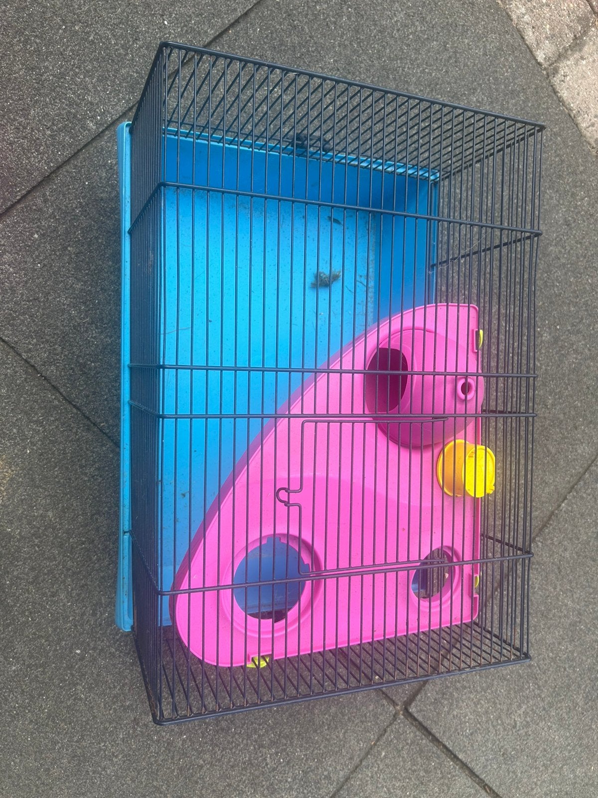 Mooie grote hamsterkooi met veel spullen erbij, Dieren en Toebehoren, Knaagdieren en Konijnen | Hokken en Kooien, Ophalen of Verzenden
