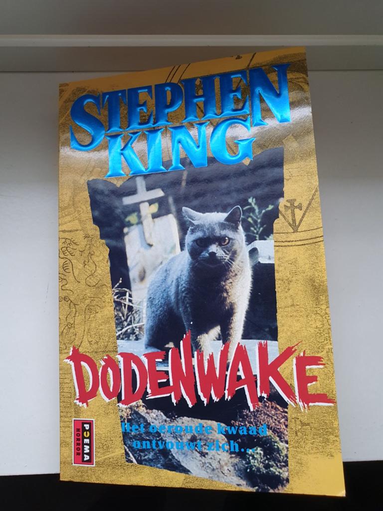 Stephen King - Dodenwake, Boeken, Gelezen, Stephen King, Ophalen of Verzenden, Nederland