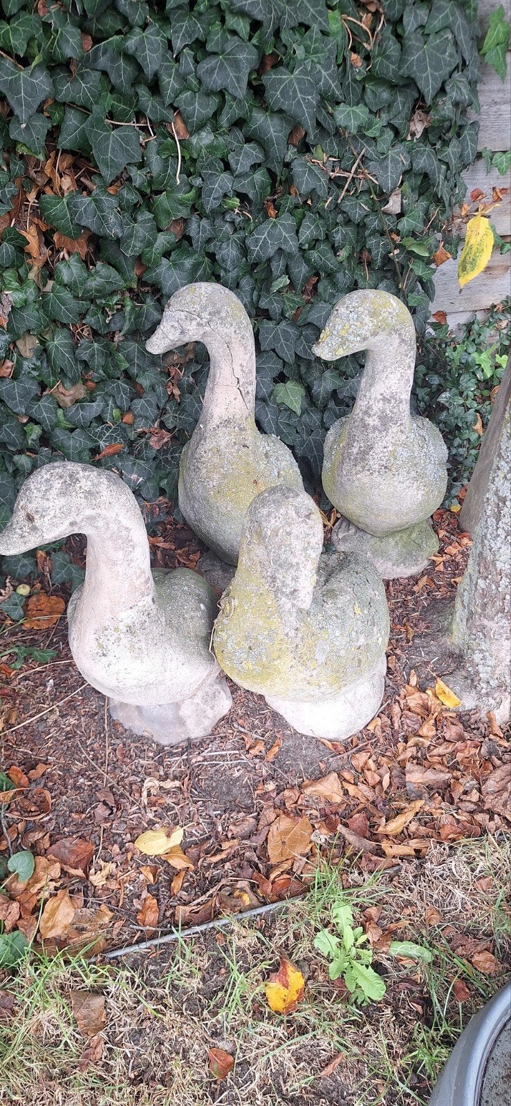 Set van 4 stenen tuineenden - decoratieve beelden, Ophalen, Gebruikt, Steen, Dierenbeeld