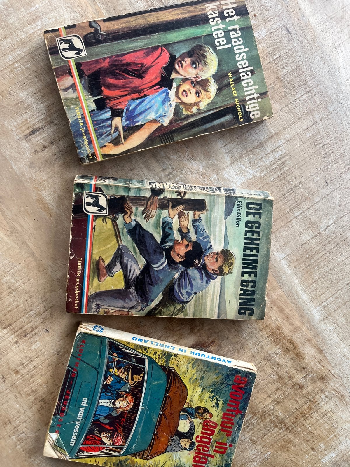 Vintage Jeugdboeken: Het Raadselachtige Kasteel, De Geheime, Ophalen of Verzenden, Gelezen, Fictie