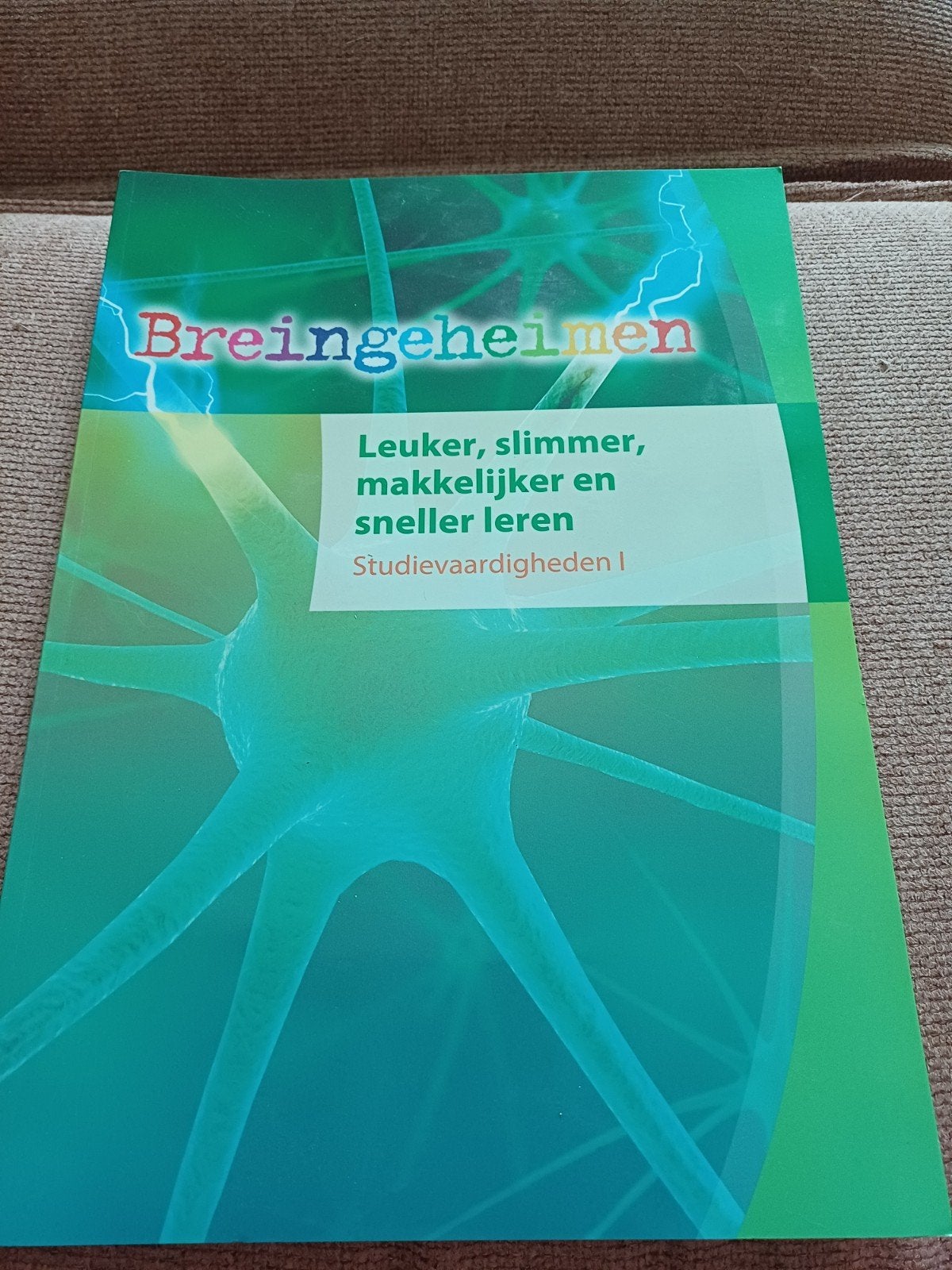 Breingeheimen: Leuker, slimmer, makkelijker en sneller leren, Ophalen of Verzenden, Nieuw, Overige niveaus