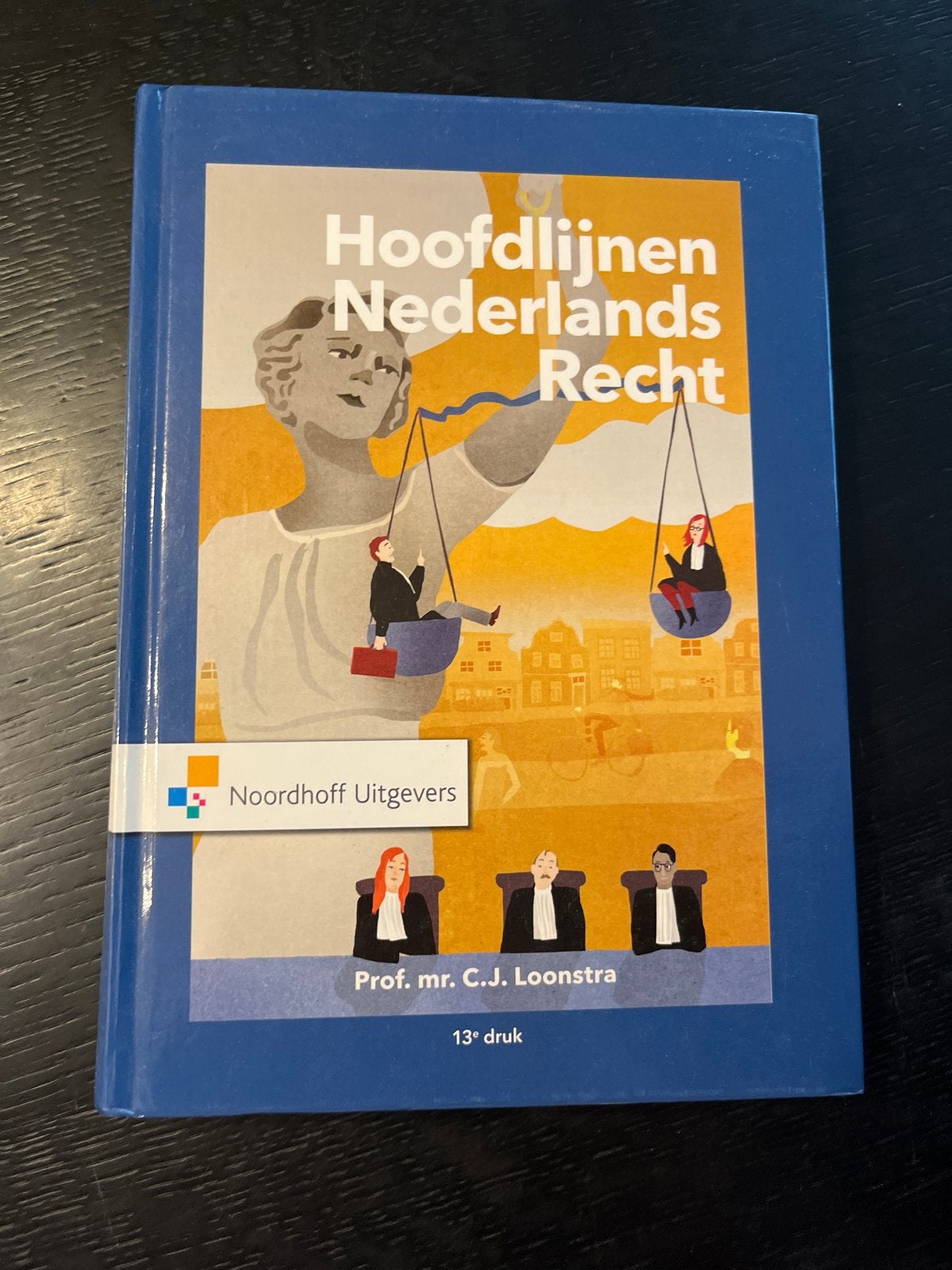 Hoofdlijnen Nederlands Recht - 13e druk, Ophalen of Verzenden, Gamma, Zo goed als nieuw, HBO