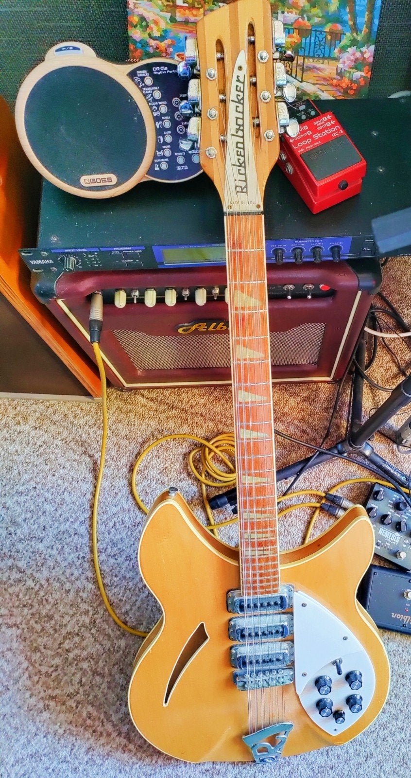 Rickenbacker 370/12, VK2882, November 1982, Ophalen, Zo goed als nieuw, Hollow body, Overige merken